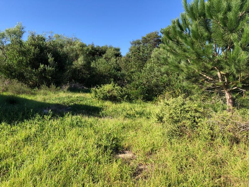 0 Bedroom Property for Sale in Baardskeerdersbos Western Cape